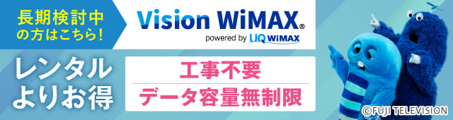 Vision WiMAX