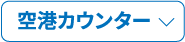 空港カウンター