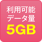 利用可能データ量5GB