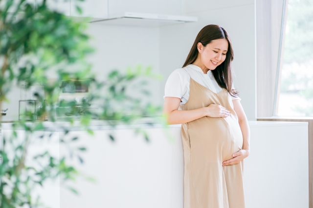 里帰り出産のインターネットにはWiFiレンタルが便利！妊娠中や出産準備の必須アイテム