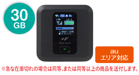 FS030W 30GB