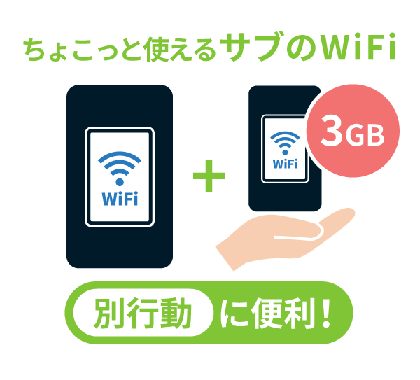 別行動用プラス1台オプション月間3GB