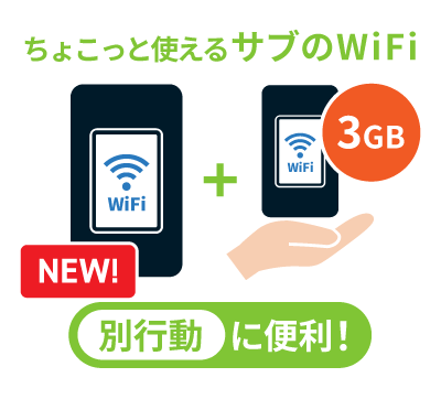 別行動用プラス1台オプション月間3GB