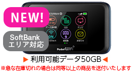 SoftBank 501HW 50GB