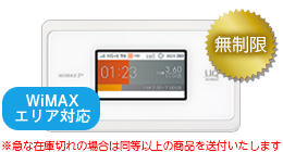 WiMAX WX06 無制限